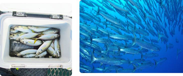 自然あふれる環境の中、のびのびと釣りをお楽しみいただけます。